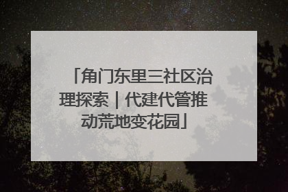 角门东里三社区治理探索｜代建代管推动荒地变花园