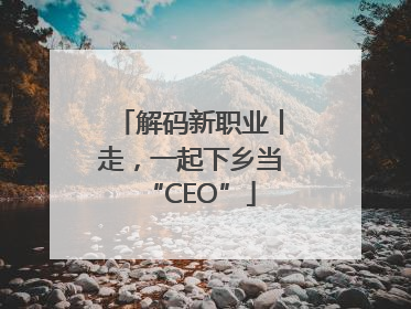 解码新职业丨走，一起下乡当“CEO”