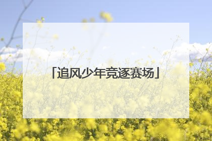 追风少年竞逐赛场
