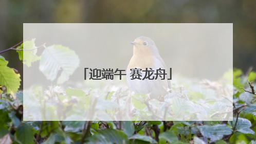 迎端午 赛龙舟