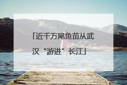 近千万尾鱼苗从武汉“游进”长江