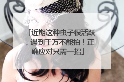 近期这种虫子很活跃，遇到千万不能拍！正确应对只需一招