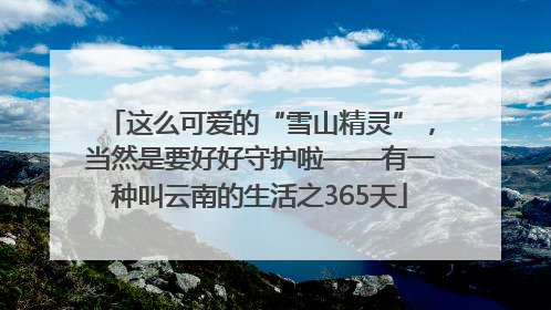 这么可爱的“雪山精灵”，当然是要好好守护啦——有一种叫云南的生活之365天
