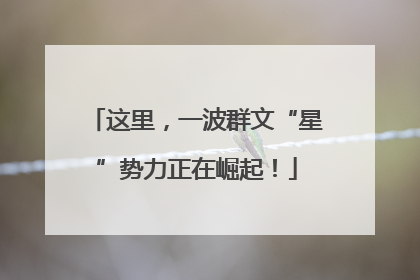这里，一波群文“星”势力正在崛起！