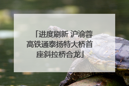 进度刷新 沪渝蓉高铁通泰扬特大桥首座斜拉桥合龙