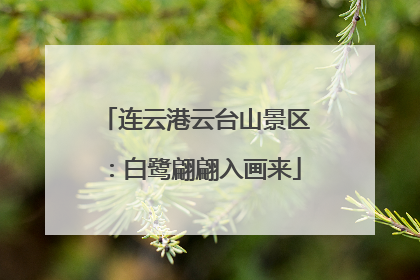 连云港云台山景区：白鹭翩翩入画来