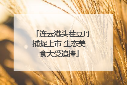 连云港头茬豆丹捕捉上市 生态美食大受追捧