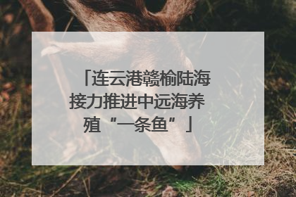 连云港赣榆陆海接力推进中远海养殖“一条鱼”
