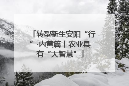 转型新生安阳“行”·内黄篇丨农业县有“大智慧”