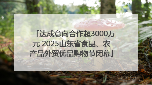 达成意向合作超3000万元 2025山东省食品、农产品外贸优品购物节闭幕
