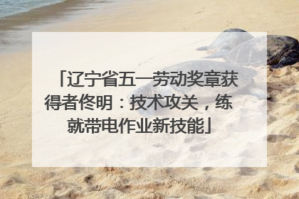 辽宁省五一劳动奖章获得者佟明：技术攻关，练就带电作业新技能