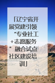 辽宁省开展党建引领“专业社工+志愿服务”融合试点社区建设培训