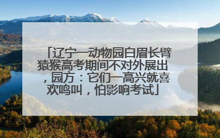 辽宁一动物园白眉长臂猿猴高考期间不对外展出，园方：它们一高兴就喜欢鸣叫，怕影响考试