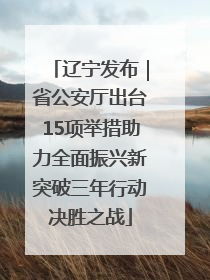 辽宁发布｜省公安厅出台15项举措助力全面振兴新突破三年行动决胜之战