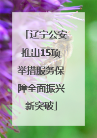 辽宁公安推出15项举措服务保障全面振兴新突破