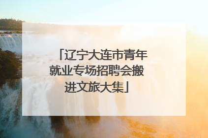辽宁大连市青年就业专场招聘会搬进文旅大集