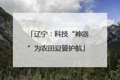 辽宁：科技“神器”为农田夏管护航