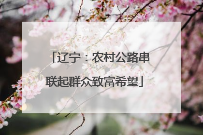 辽宁：农村公路串联起群众致富希望