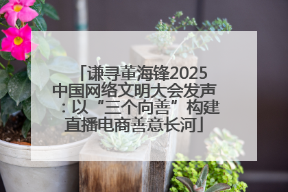 谦寻董海锋2025中国网络文明大会发声：以“三个向善”构建直播电商善意长河