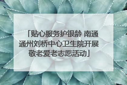 贴心服务护银龄 南通通州刘桥中心卫生院开展敬老爱老志愿活动