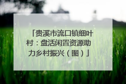 贵溪市流口镇细叶村：盘活闲置资源助力乡村振兴（图）