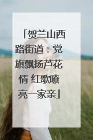 贺兰山西路街道：党旗飘扬芦花情 红歌嘹亮一家亲
