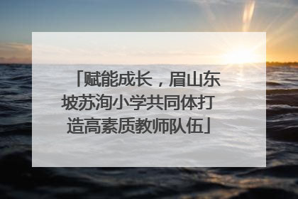 赋能成长，眉山东坡苏洵小学共同体打造高素质教师队伍