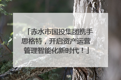 赤水市国投集团携手思格特，开启资产运营管理智能化新时代！