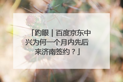 趵眼｜百度京东中兴为何一个月内先后来济南签约？
