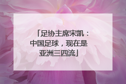 足协主席宋凯：中国足球，现在是亚洲三四流