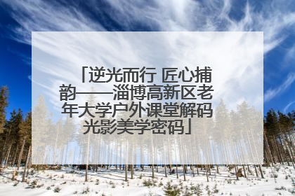 逆光而行 匠心捕韵——淄博高新区老年大学户外课堂解码光影美学密码