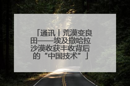 通讯丨荒漠变良田——埃及撒哈拉沙漠收获丰收背后的“中国技术”