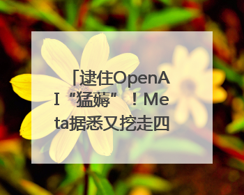 逮住OpenAI“猛薅”！Meta据悉又挖走四位知名研究人员