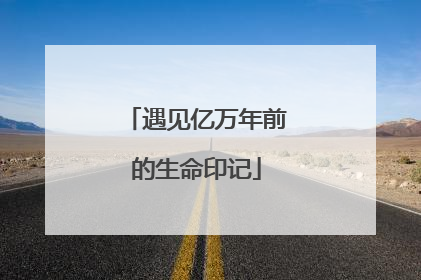 遇见亿万年前的生命印记