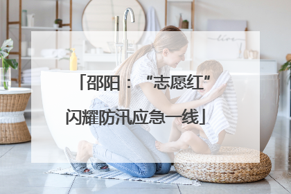 邵阳：“志愿红”闪耀防汛应急一线