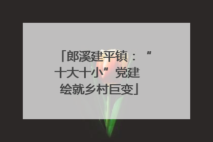 郎溪建平镇：“十大十小”党建 绘就乡村巨变