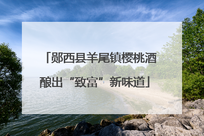 郧西县羊尾镇樱桃酒酿出“致富”新味道