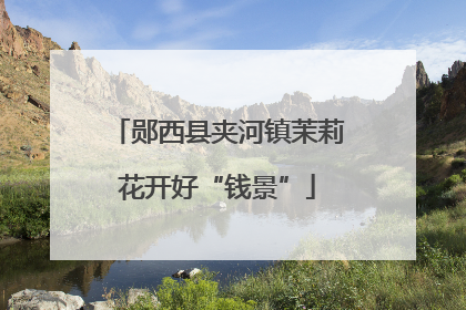 郧西县夹河镇茉莉花开好“钱景”