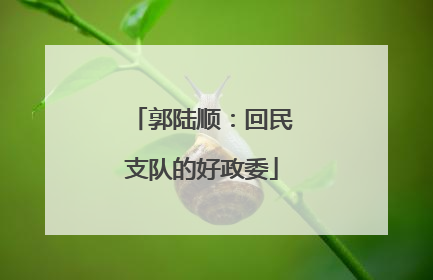 郭陆顺：回民支队的好政委
