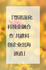 鄂港深化科技金融合作 共建科创企业出海通道