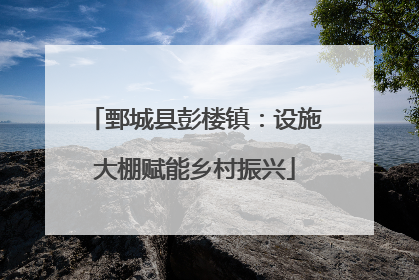 鄄城县彭楼镇：设施大棚赋能乡村振兴