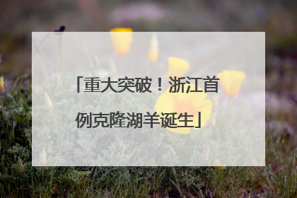 重大突破！浙江首例克隆湖羊诞生