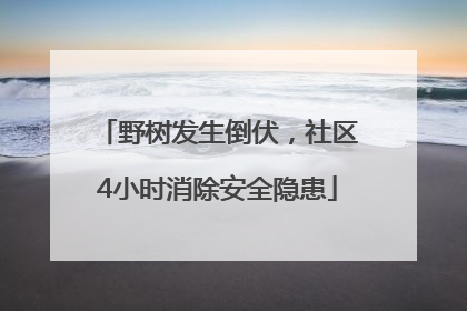 野树发生倒伏，社区4小时消除安全隐患