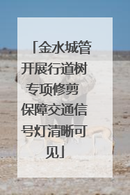 金水城管开展行道树专项修剪 保障交通信号灯清晰可见