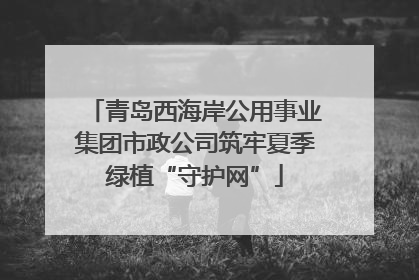 青岛西海岸公用事业集团市政公司筑牢夏季绿植“守护网”