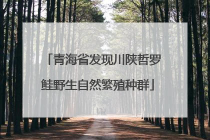 青海省发现川陕哲罗鲑野生自然繁殖种群