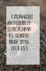 青海省招商引资推介会在天津举行 吴晓军致辞 罗东川主持
