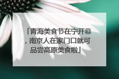 青海美食节在宁开幕，南京人在家门口就可品尝高原美食啦
