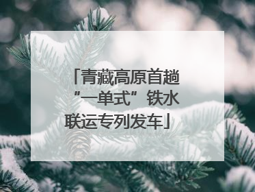 青藏高原首趟“一单式”铁水联运专列发车