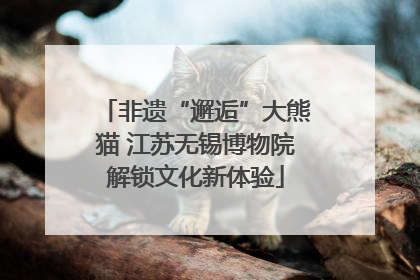 非遗“邂逅”大熊猫 江苏无锡博物院解锁文化新体验